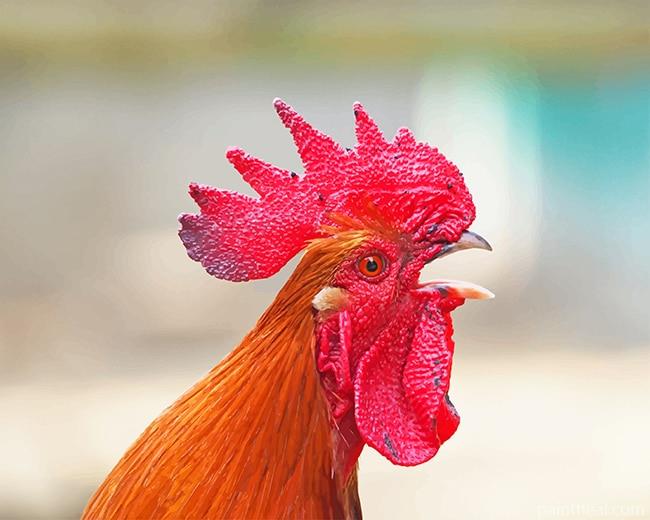 Angry Rooster Painting By Numbers Kits