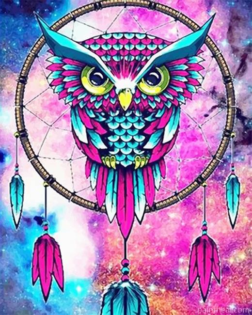 Colorful Owl Dream Catcher Painting By Numbers Kits