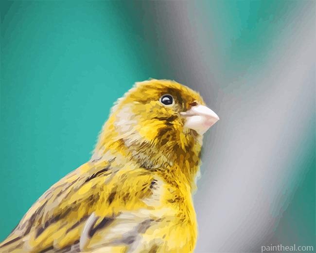 Domestic Canary Painting By Numbers Kits