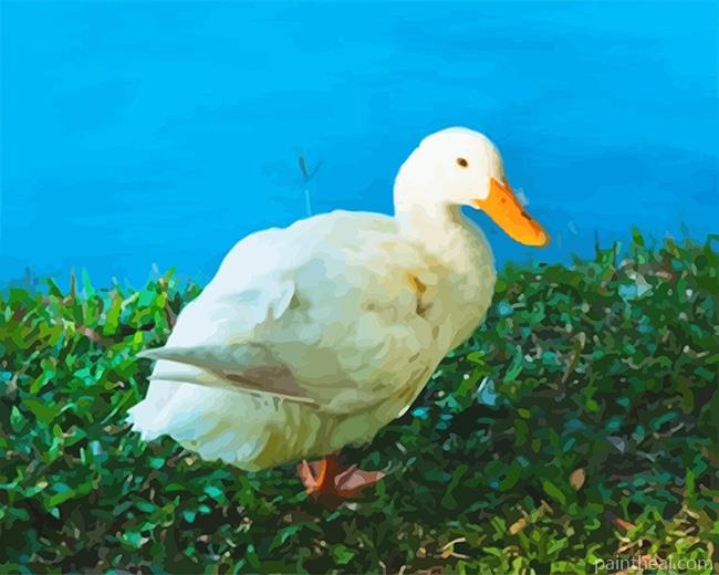 White Duck Painting By Numbers Kits