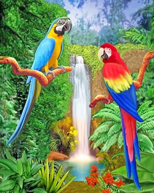 Beautiful Parrots Painting By Numbers Kits