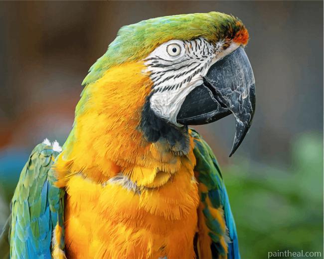 Yellow And Green Parrot Painting By Numbers Kits