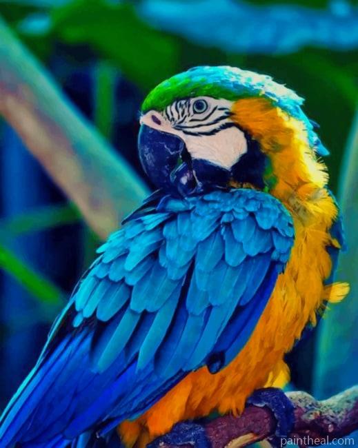 Colorful Macaw Bird Painting By Numbers Kits