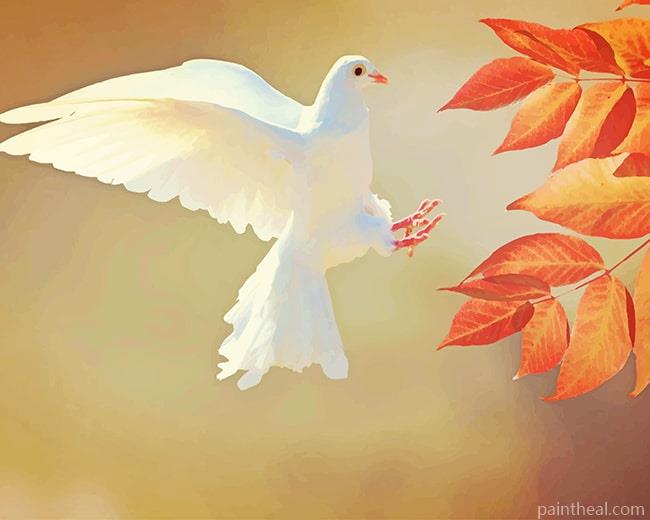 White Flying Pigeon Painting By Numbers Kits
