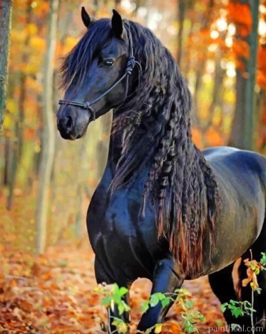 Friesian Black Horse Painting By Numbers Kits