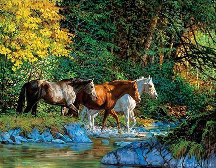 Group Of Horses Cross The River Painting By Numbers Kits