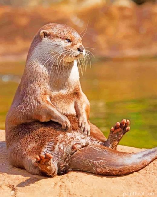 Otter Sitting On A Rock Painting By Numbers Kits