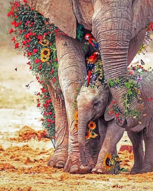 Floral Elephants Painting By Numbers Kits