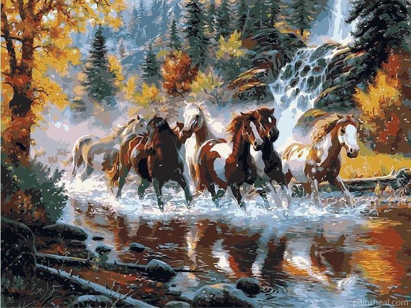 Wild Horses Running In The River Painting By Numbers Kits
