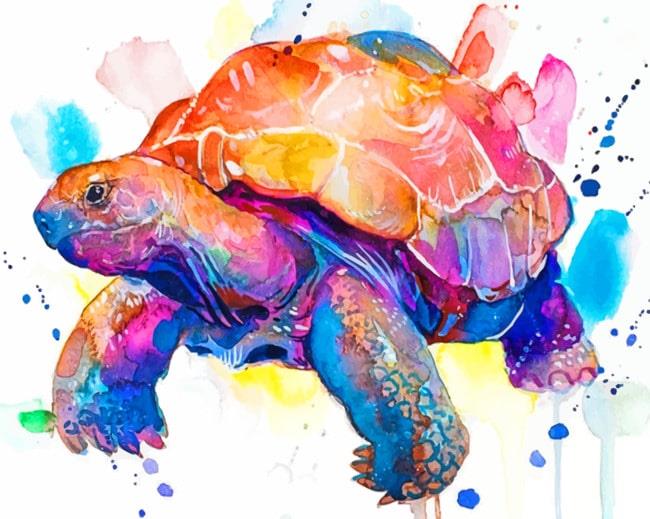 Watercolor Turtle Painting By Numbers Kits