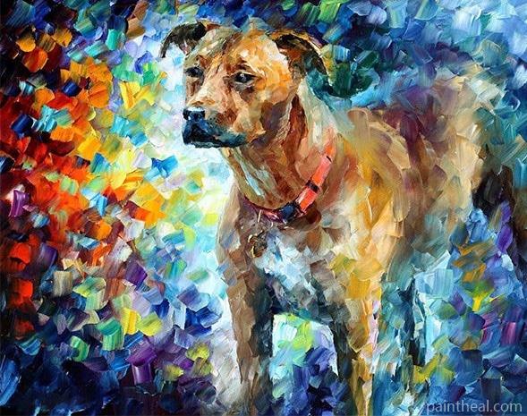 Colorful Pit Bull Dog Painting By Numbers Kits