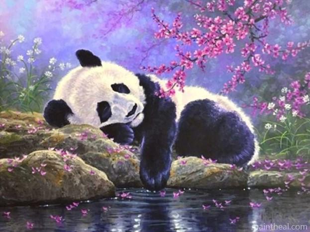 Sleepy Panda Painting By Numbers Kits