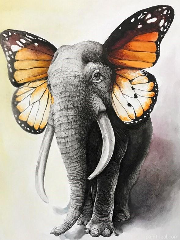 Butterfly Elephant Painting By Numbers Kits