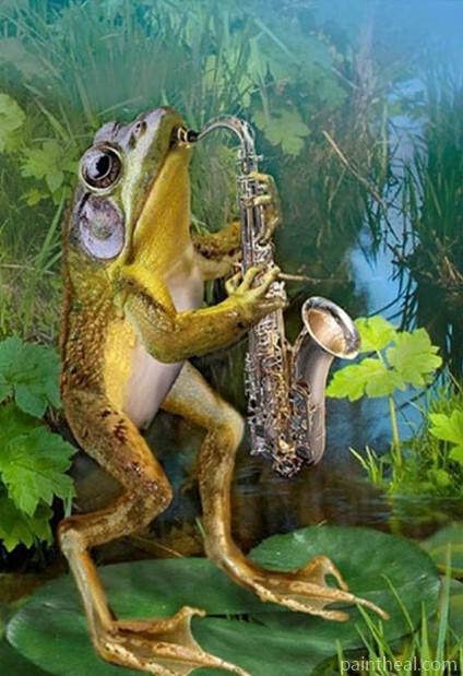 Artist Frog Painting By Numbers Kits