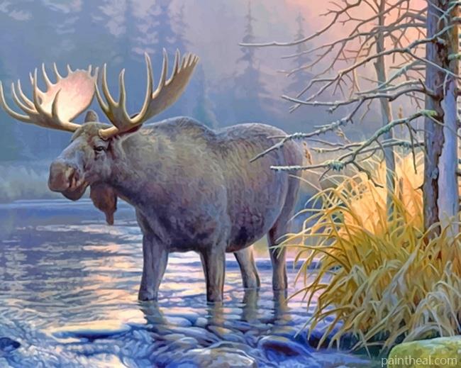 Wildlife Moose Painting By Numbers Kits