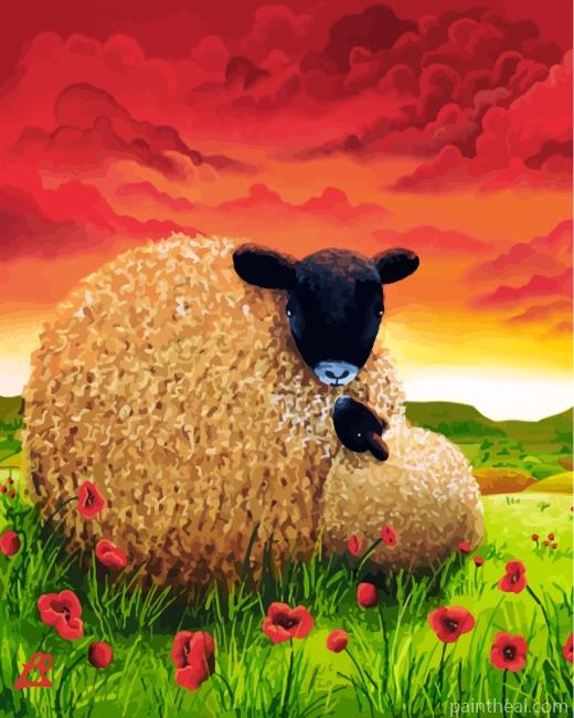 Sheep In Poppy Field Painting By Numbers Kits