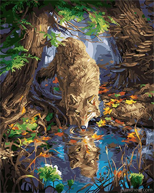 Wolf Drink from A Pond Painting By Numbers Kits