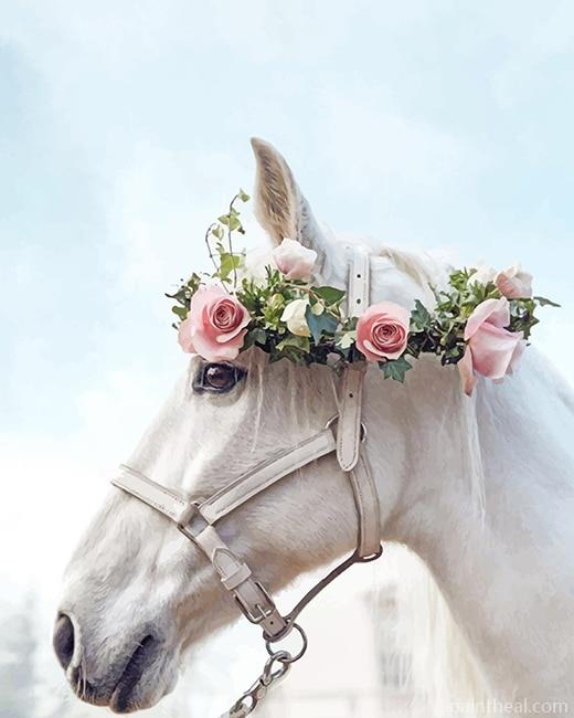 Horse Wearing Flowers Crown Painting By Numbers Kits