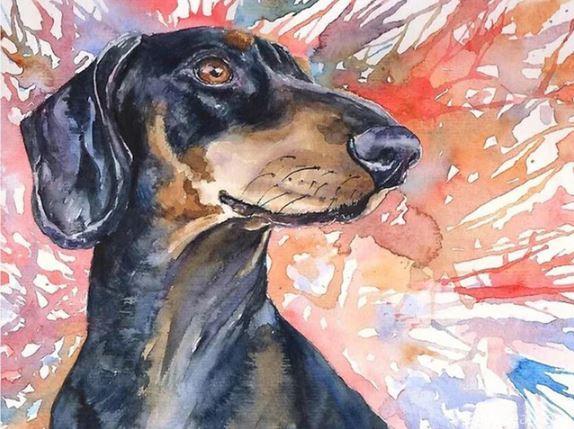 Splatter Dachshund Dog Painting By Numbers Kits