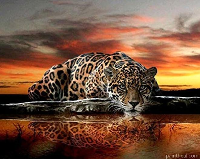 Leopard At Sunset Painting By Numbers Kits