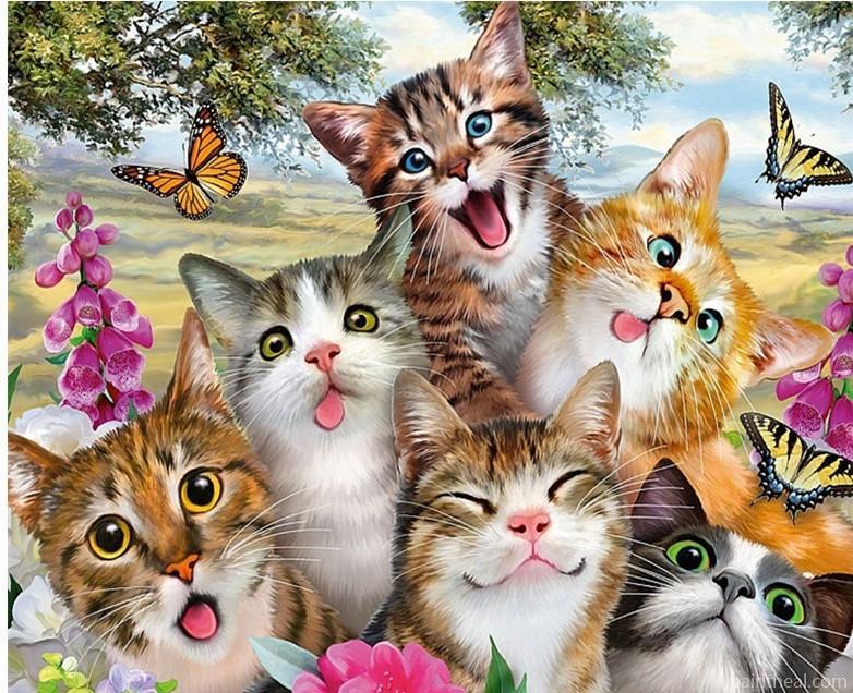 Funny Cats Whit Butterflies Painting By Numbers Kits