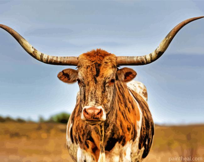 Texas Longhorn Cow Painting By Numbers Kits