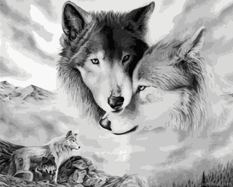 Black White Wolves Painting By Numbers Kits