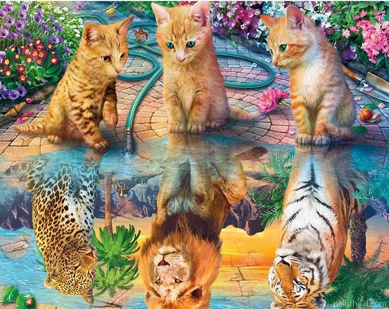 Cats Reflection Painting By Numbers Kits