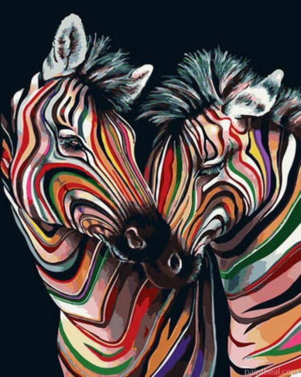 Colorful Zebra Couple Painting By Numbers Kits