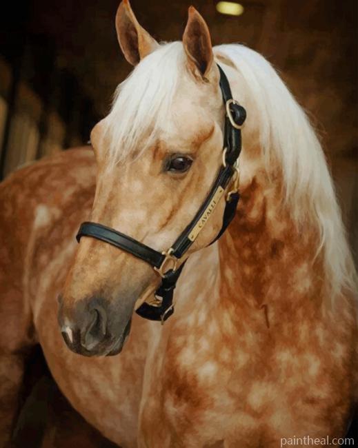 Palomino Horse Painting By Numbers Kits