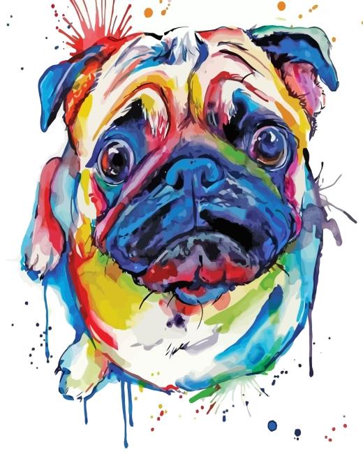 Colorful Splash Pug Dog Painting By Numbers Kits