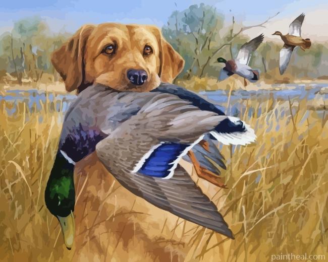 Labrador And Mallards Painting By Numbers Kits