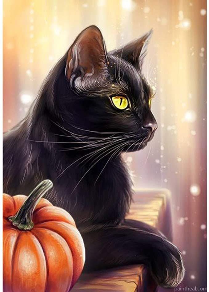 Black Cat Painting By Numbers Kits