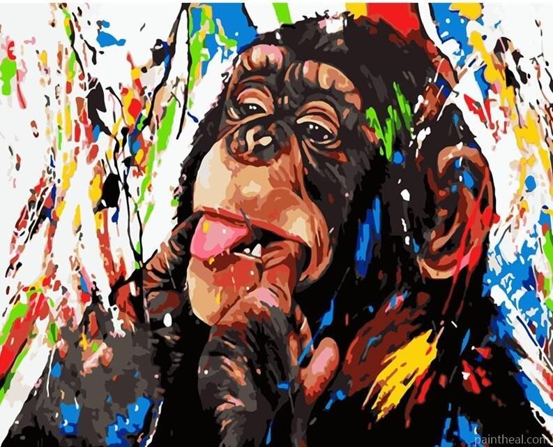 Colorful Monkey Art Painting By Numbers Kits
