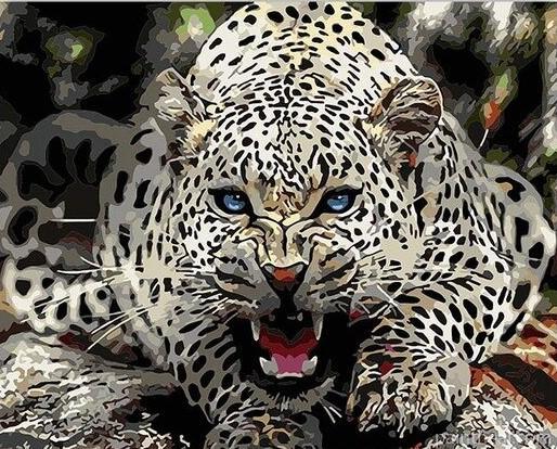 White Jaguar Big Cat Painting By Numbers Kits