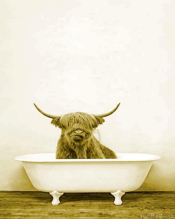Cute Highland Cow Painting By Numbers Kits