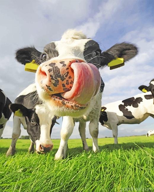 Funny Holstein Cow Painting By Numbers Kits