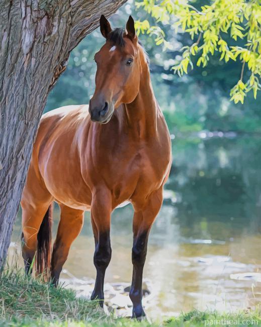 Brown Horse In Forest Painting By Numbers Kits