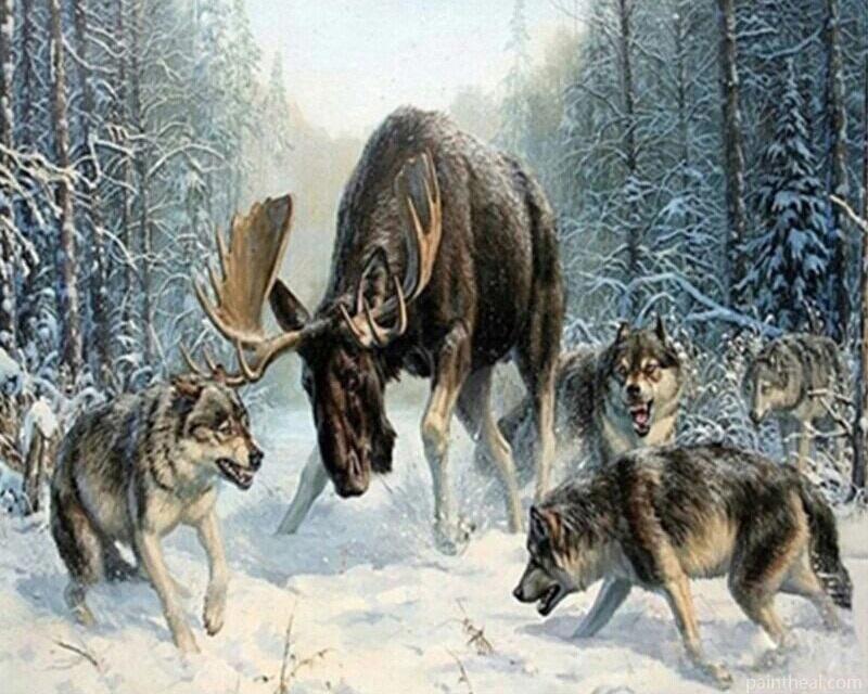 Moose And Wolves Animals Painting By Numbers Kits