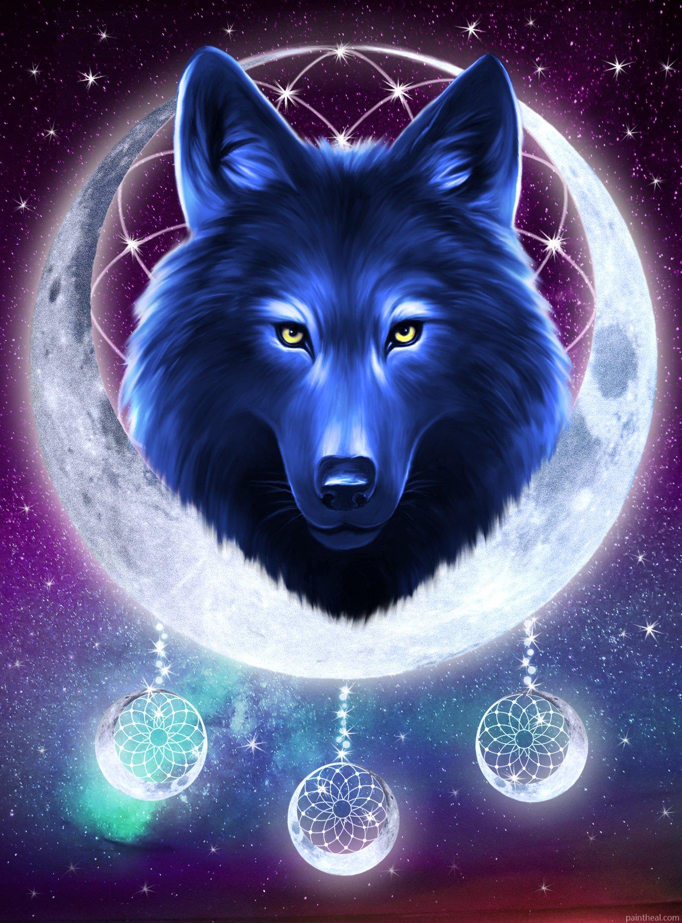 Galaxy Wolf Dream Catcher Painting By Numbers Kits