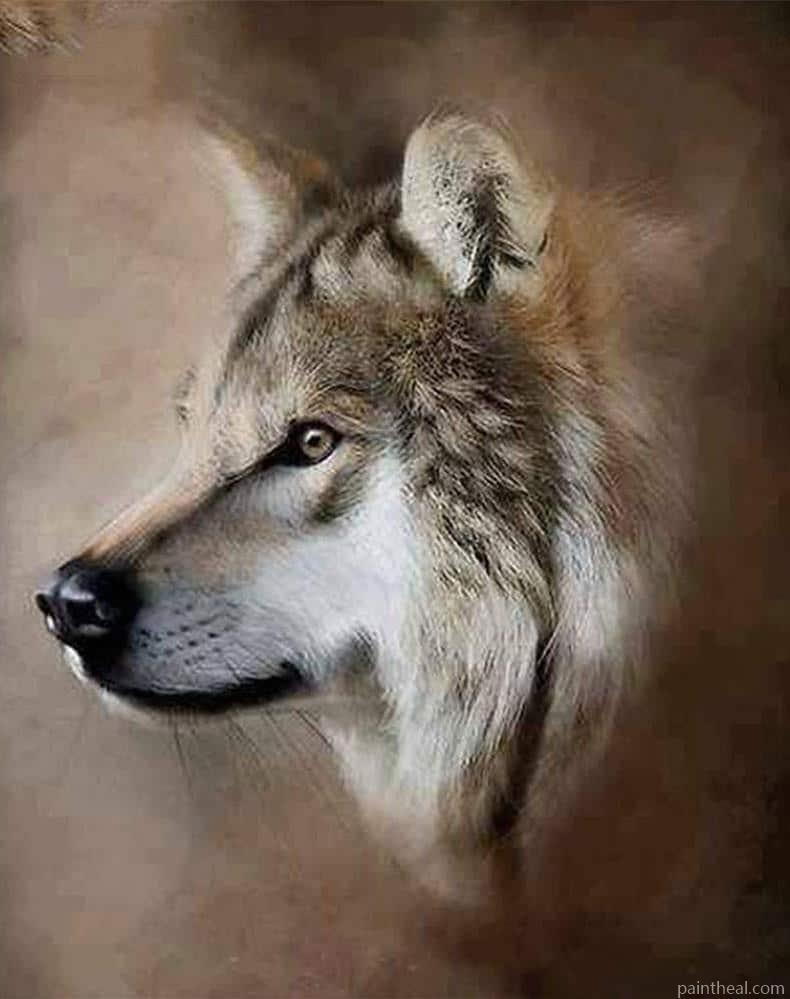 Wolf Head Painting By Numbers Kits