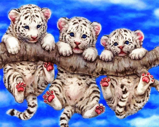 Baby White Tigers Hanging Painting By Numbers Kits