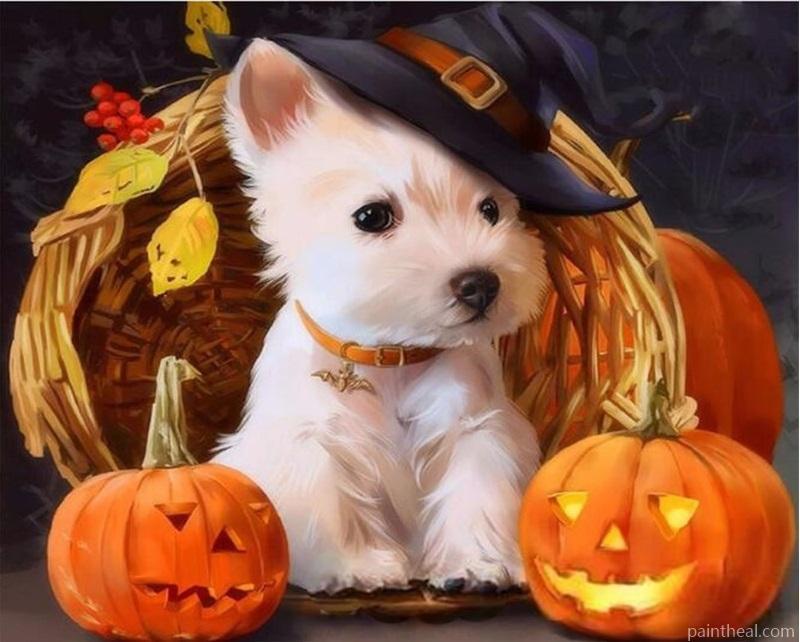 Halloween Dog Witch Painting By Numbers Kits