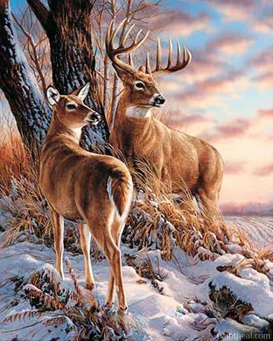 Deer In Snow Painting By Numbers Kits