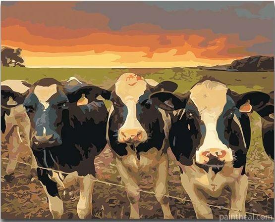 Black and white Herd Painting By Numbers Kits