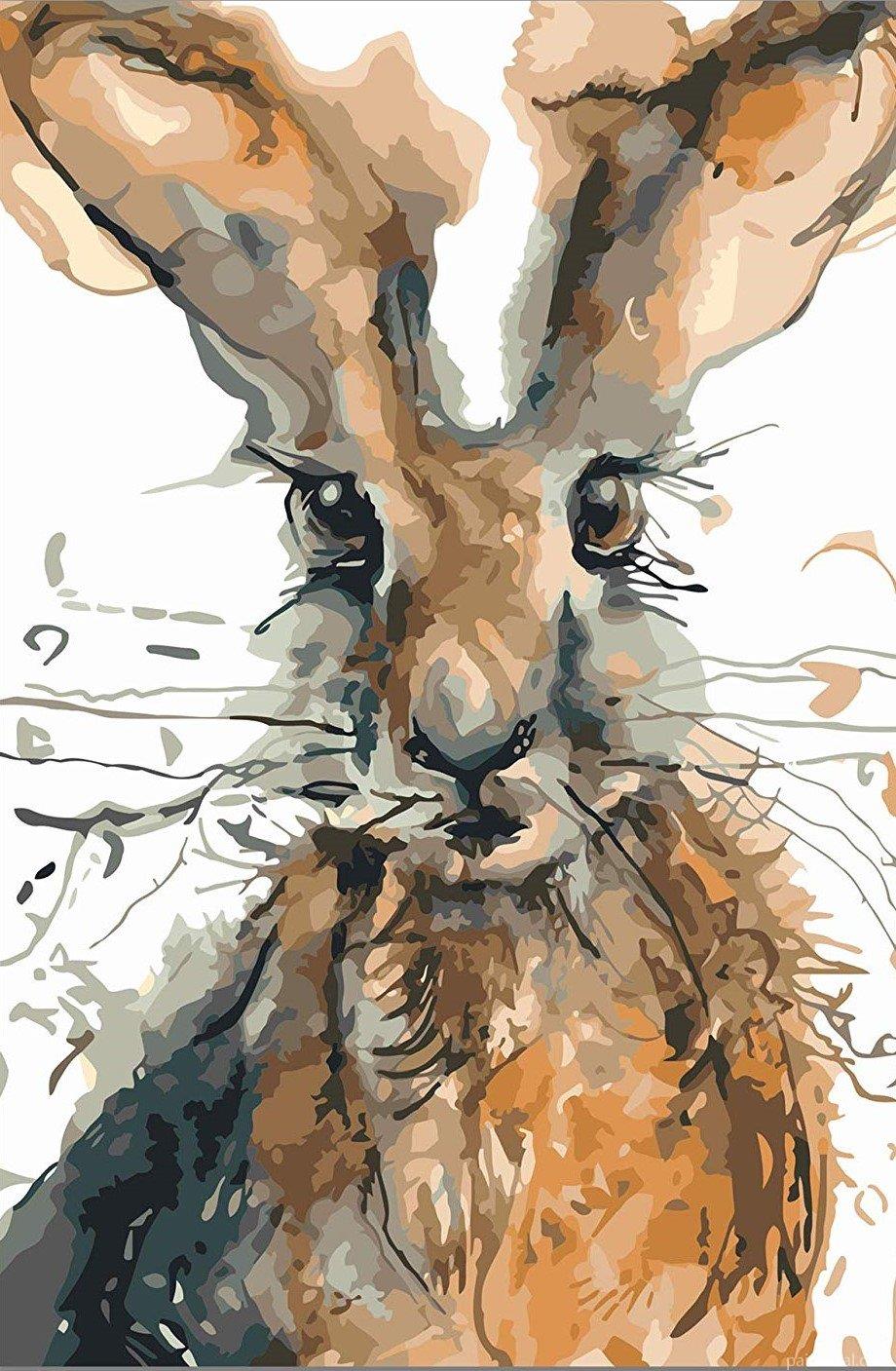 Bunny Rabbit Pet Painting By Numbers Kits