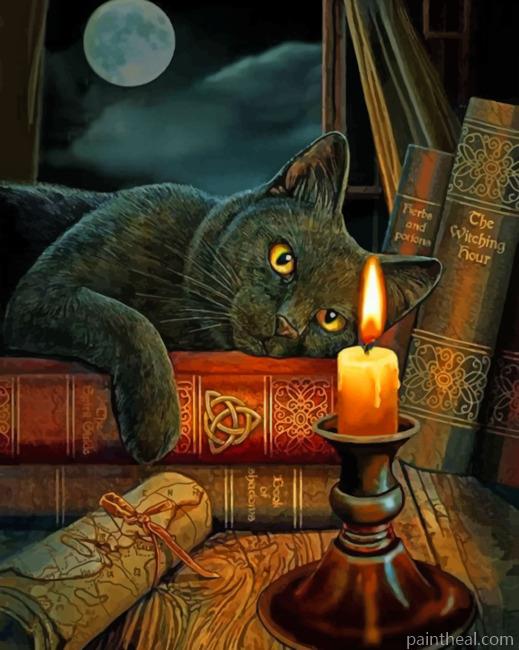 Black Cat Staring At A Candle Painting By Numbers Kits