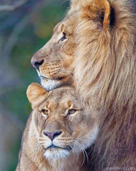 King Lion and Lioness Painting By Numbers Kits