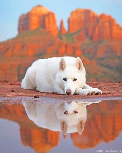 White German Shepherd Dog Painting By Numbers Kits