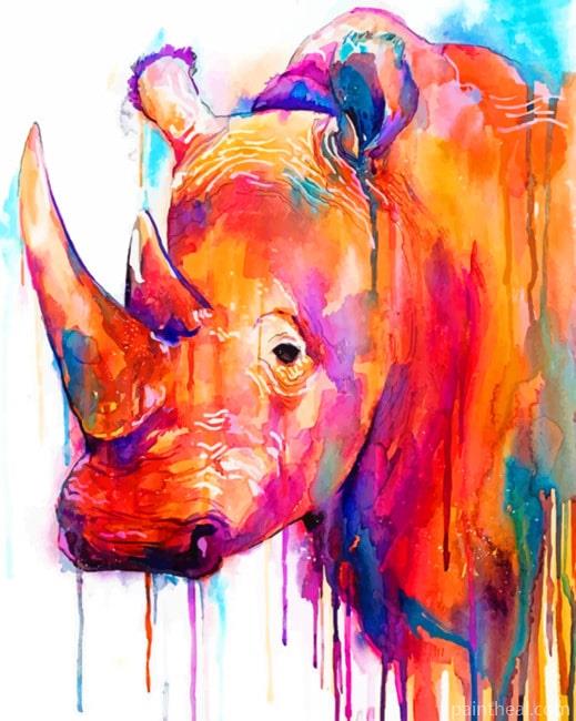 Colorful Rhino Painting By Numbers Kits